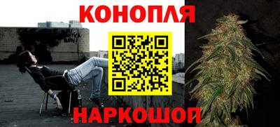 прущие грибы Пенза