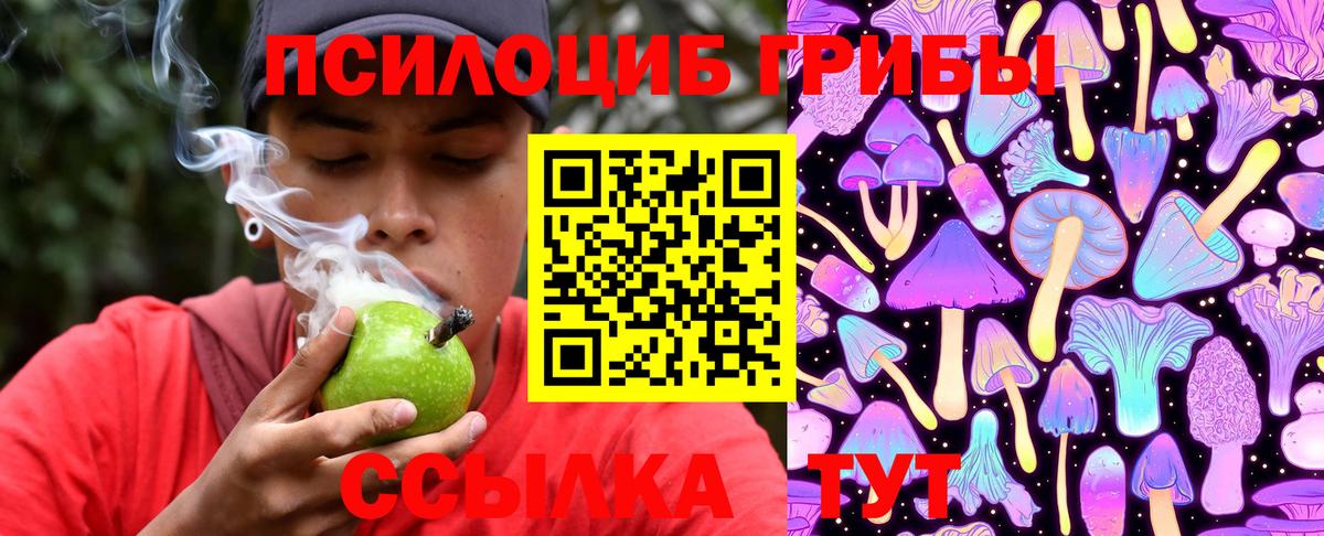 Псилоцибиновые грибы Psilocybine cubensis Славянск-на-Кубани